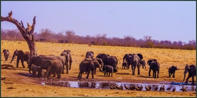 Water Bodies and Their Role in Conservation